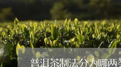 普洱茶制法分为哪两类/2023061718360