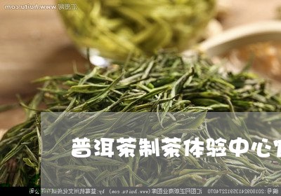 普洱茶制茶体验中心官网/2023120720403