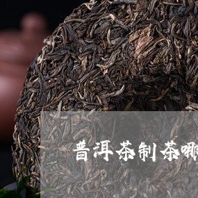 普洱茶制茶哪里学最好的/2023082911402