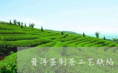 普洱茶制茶工艺缺陷/2023120504969