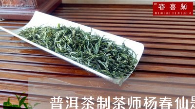 普洱茶制茶师杨春仙是谁/2023120790605