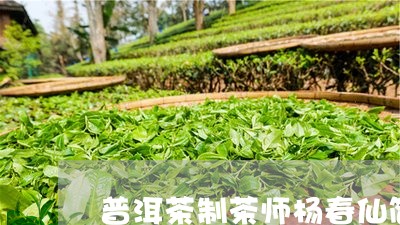 普洱茶制茶师杨春仙简介/2023120780604