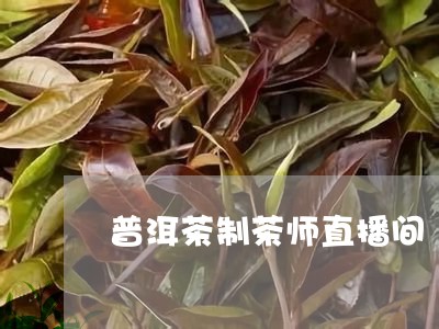 普洱茶制茶师直播间/2023120512635