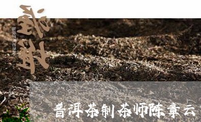 普洱茶制茶师陈章云简介/2023082784058