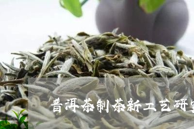 普洱茶制茶新工艺研究进展/2023110686050