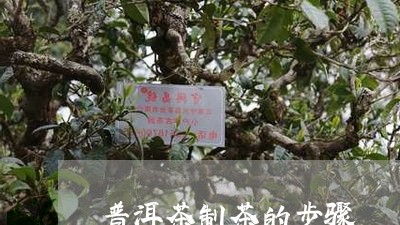 普洱茶制茶的步骤/2023120458360