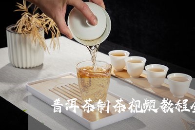 普洱茶制茶视频教程全集/2023120791828