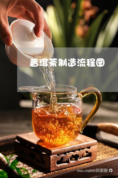 普洱茶制造流程图/2023120400705