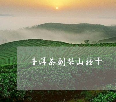 普洱茶刺梨山楂干/2023062892047