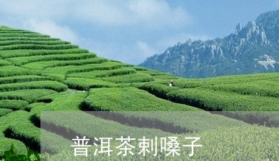 普洱茶剌嗓子/2023042659791