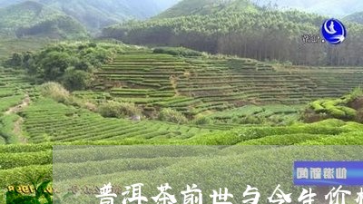 普洱茶前世与今生价格差多少/2023052823824