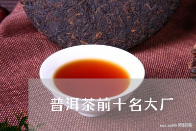 普洱茶前十名大厂/2023120478351