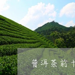 普洱茶前十大名茶排名/2023062826350