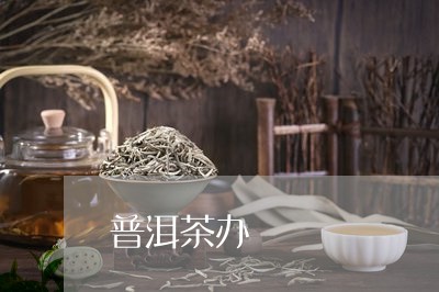 普洱茶办/2023110865269