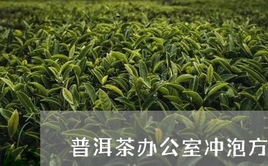 普洱茶办公室冲泡方法/2023062248682