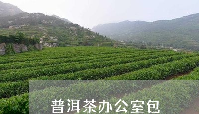 普洱茶办公室包/2023121629582