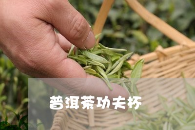 普洱茶功夫杯/2023042797606