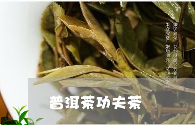 普洱茶功夫茶/2023042982253