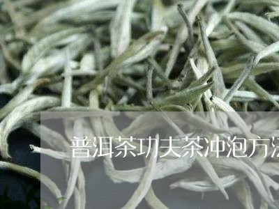 普洱茶功夫茶冲泡方法/2023080346581