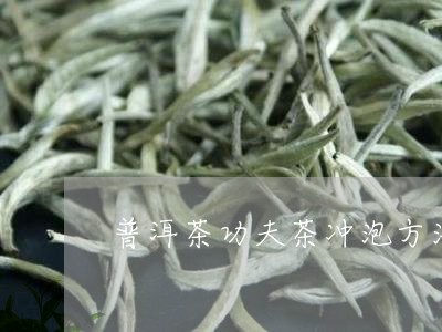 普洱茶功夫茶冲泡方法/2023100754048