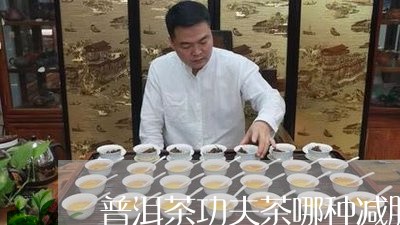 普洱茶功夫茶哪种减肥最好/2023112583936