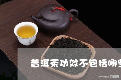 普洱茶功效不包括哪些/2023080115370