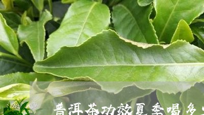 普洱茶功效夏季喝多少克/2023121685160