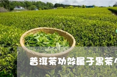 普洱茶功效属于黑茶么/2023080353045