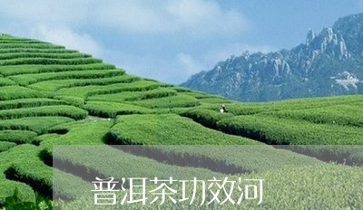 普洱茶功效河/2023042900914