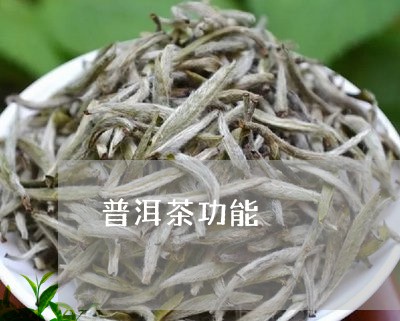 普洱茶功能/2023090690505