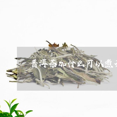 普洱茶加什么可以煮茶/2023100800691