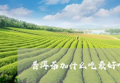 普洱茶加什么吃最好喝一点/2023110423926