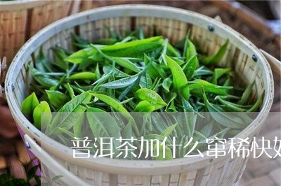 普洱茶加什么窜稀快好点/2023121681204