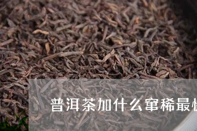 普洱茶加什么窜稀最快窍门/2023082955038