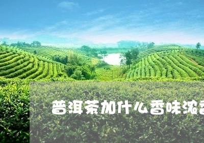 普洱茶加什么香味浓香好/2023110632715