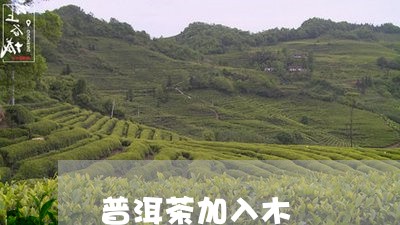 普洱茶加入木/2023042615945