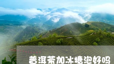 普洱茶加冰糖泡好吗/2023120539783