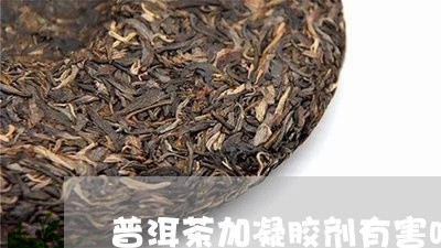 普洱茶加凝胶剂有害吗/2023062004927