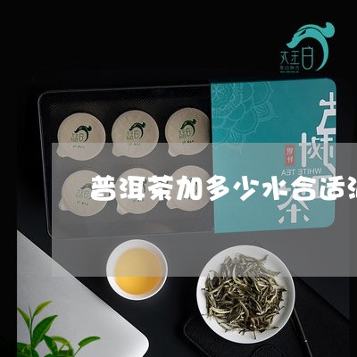 普洱茶加多少水合适泡着喝/2023082986048