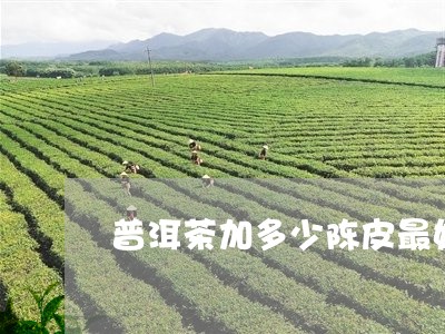 普洱茶加多少陈皮最好/2023062886169