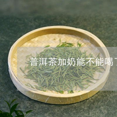 普洱茶加奶能不能喝了/2023082995969