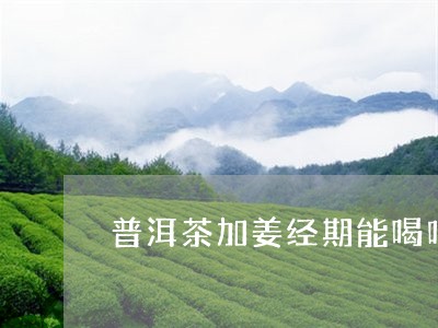 普洱茶加姜经期能喝吗/2023092894635