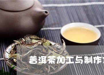 普洱茶加工与制作方法/2023061872925