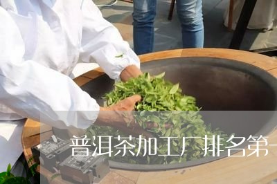 普洱茶加工厂排名第一的是哪家/2023082824139