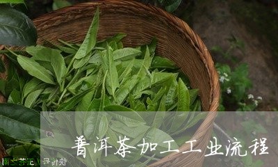 普洱茶加工工业流程/2023120585939