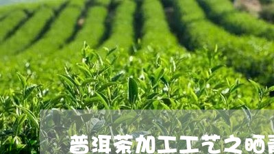 普洱茶加工工艺之晒青/2023062344847