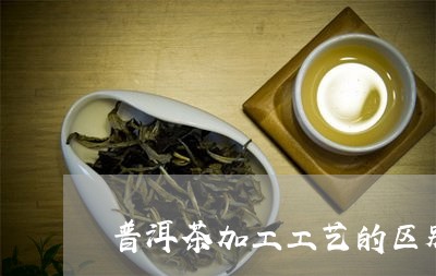 普洱茶加工工艺的区别/2023080250691