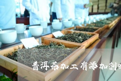 普洱茶加工有添加剂吗/2023072302724