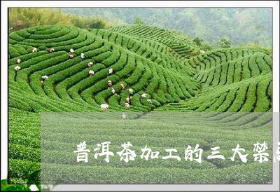 普洱茶加工的三大禁忌/2023062095936