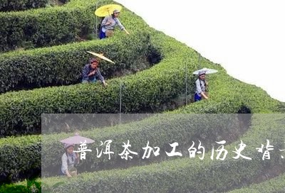 普洱茶加工的历史背景/2023063009259